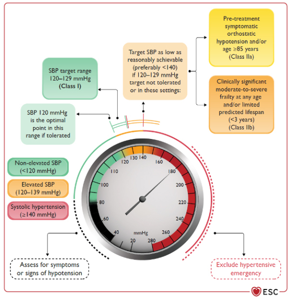 22baf785ed30 guidelines hypertension arterielle figure2